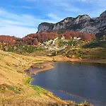 Bosnian & Villa *