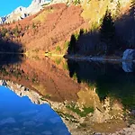 Bosnian & Villa