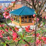 Villa Bosnian & *