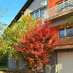 Bosnian & Villa Hadzici