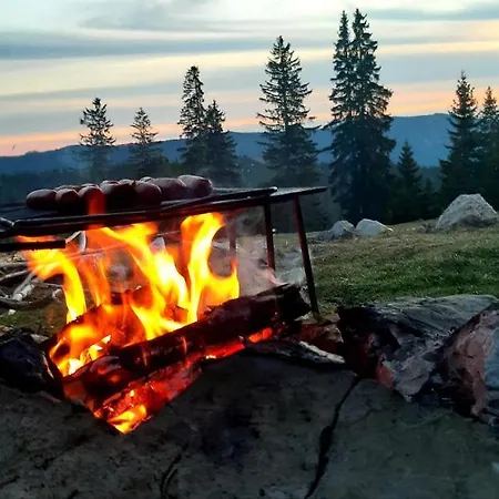 Bosnian