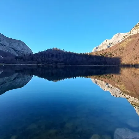 Bosnian & Hadžići