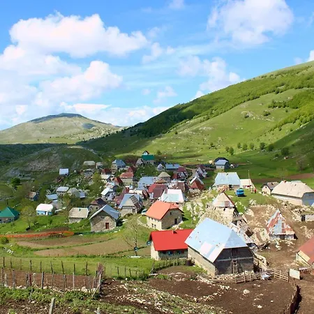 Bosnian & Villa