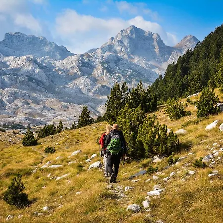 Вилла Bosnian Hadzici