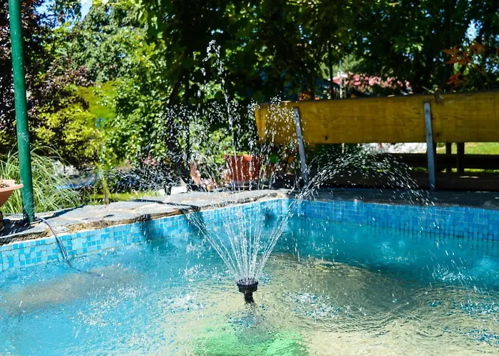 Bosnian & Vila Hadžići