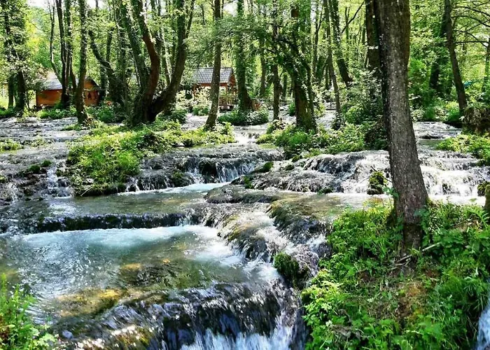 Vila Bosnian & Hadžići