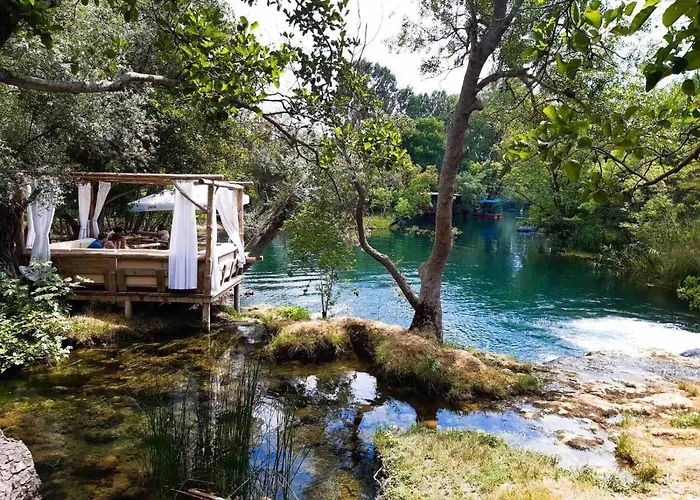 Bosnian & Vila Hadžići