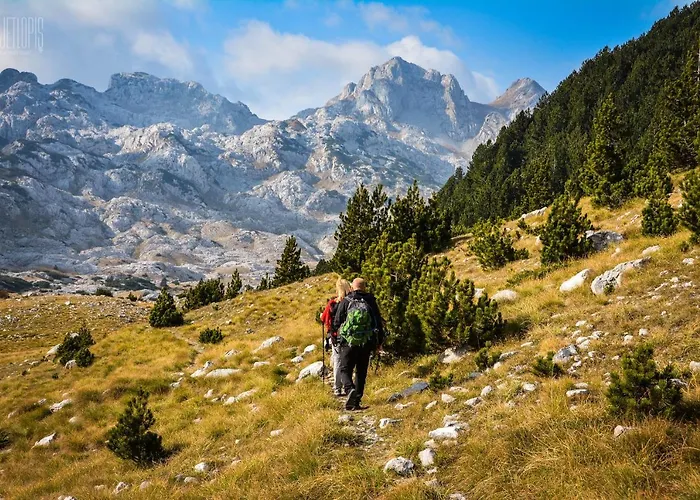 Vila Bosnian & Hadžići