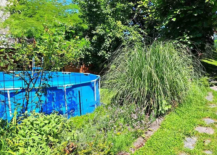 Bosnian & Vila Hadžići