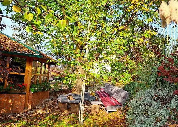 Bosnian & * Hadžići