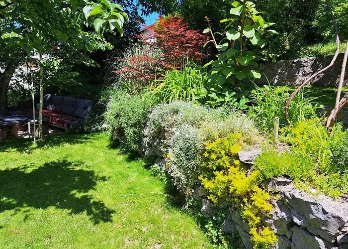 Bosnian & Vila Hadžići